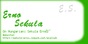 erno sekula business card